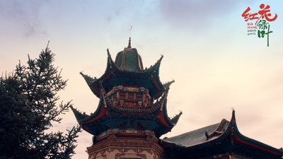 红花绿叶剧照的剧照