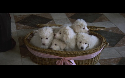 洪流剧照的剧照