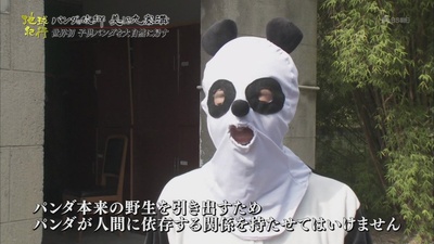 地球纪行~熊猫的故乡 美丽的九寨沟~速水直道 中国・世界遗产之旅剧照的剧照