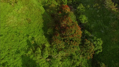 实境之旅 美丽的星球剧照的剧照