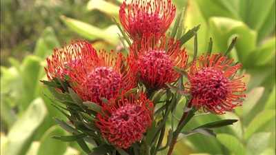 实境之旅 美丽的星球剧照的剧照