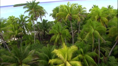 实境之旅 美丽的星球剧照的剧照