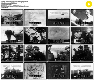 白鹰剧照的剧照