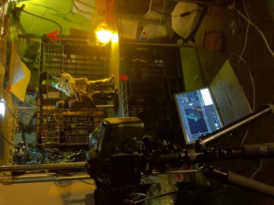 蝙蝠侠：黑暗骑士陨落剧照的剧照