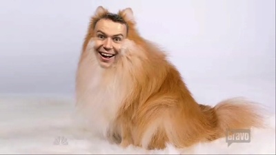 周六夜现场：索菲娅·维加拉/One Direction剧照的剧照