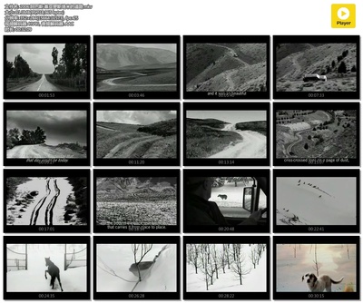 阿巴斯·基亚罗斯塔米的道路剧照的剧照