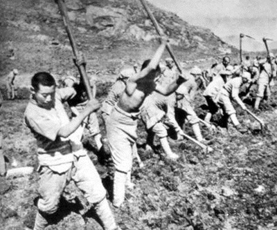 南泥湾剧照的剧照