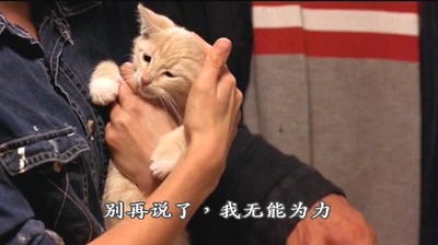 鬼府访客剧照的剧照