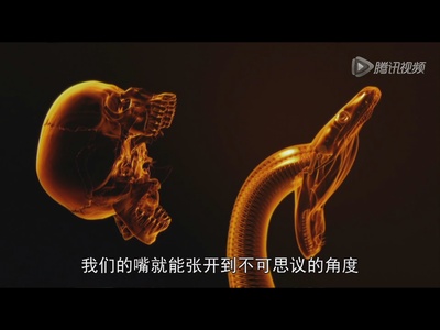 国家地理杂志：超级大蛇剧照的剧照