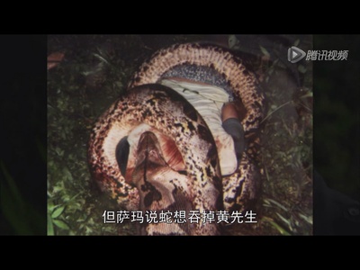 国家地理杂志：超级大蛇剧照的剧照