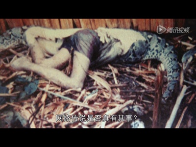 国家地理杂志：超级大蛇剧照的剧照