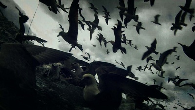 利维坦剧照的剧照