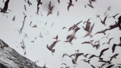 利维坦剧照的剧照