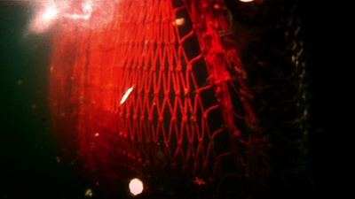 利维坦剧照的剧照