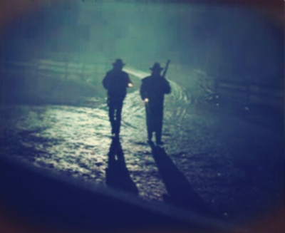 坠落天使剧照的剧照