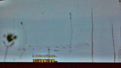 卡拉扬剧照的剧照