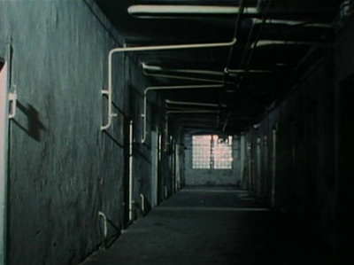 站长夫人剧照的剧照