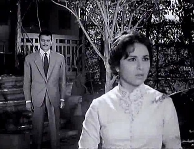 麻鹬的哭泣剧照的剧照