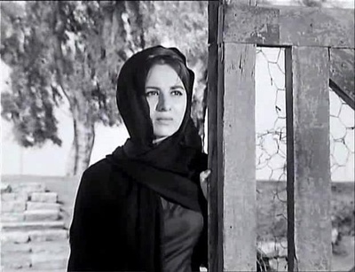 麻鹬的哭泣剧照的剧照