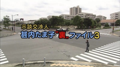 调解交涉人甚内玉子的背后文件3剧照的剧照