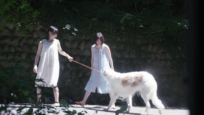 岩井俊二監督最新作・タイトル未定剧照的剧照