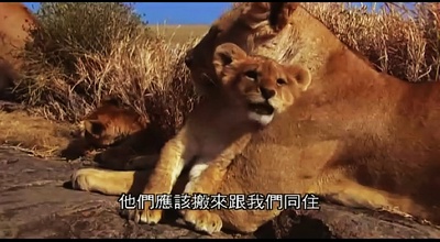 狮路历程剧照的剧照