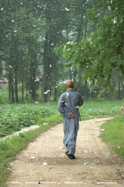 大块头有大智慧剧照的剧照