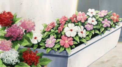 牵牛花与加濑同学剧照的剧照