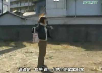 情热大陆 上野树里篇剧照的剧照