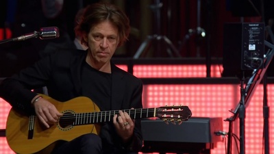 斯汀柏林演唱会剧照的剧照