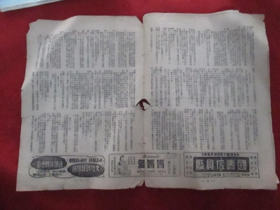 处处闻啼鸟剧照的剧照