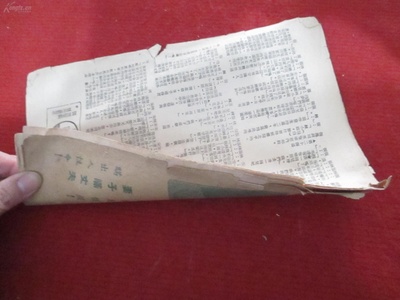 处处闻啼鸟剧照的剧照