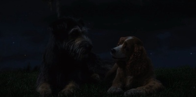 小姐与流浪汉剧照的剧照