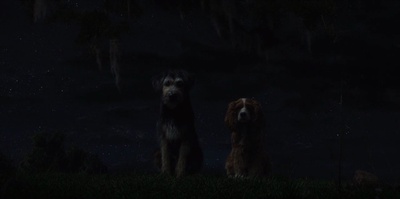 小姐与流浪汉剧照的剧照