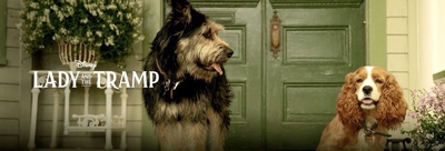 小姐与流浪汉剧照的剧照