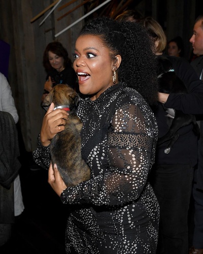 小姐与流浪汉剧照的剧照