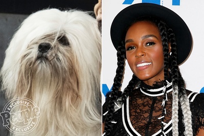 小姐与流浪汉剧照的剧照