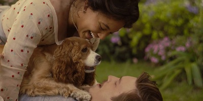 小姐与流浪汉剧照的剧照