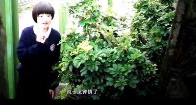 比悲伤更悲伤的故事剧照的剧照