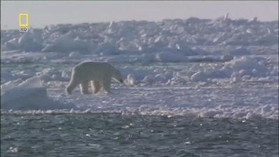 世界致命动物系列：印度篇剧照的剧照