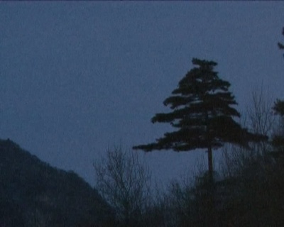 归去来剧照的剧照