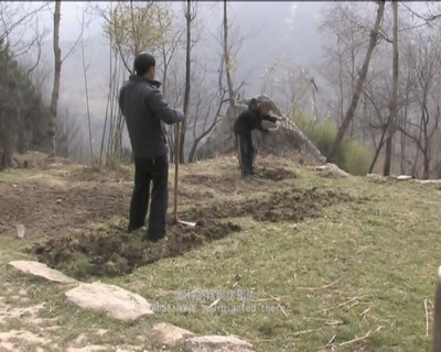 归去来剧照的剧照