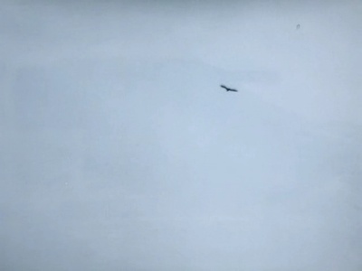 山水情剧照的剧照