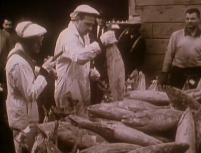 原子咖啡厅剧照的剧照