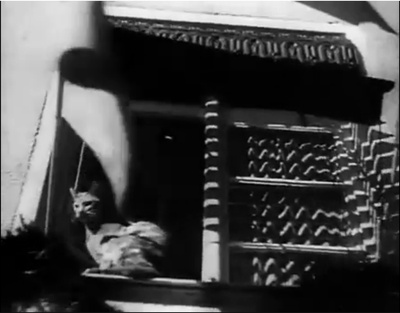 意志的胜利剧照的剧照