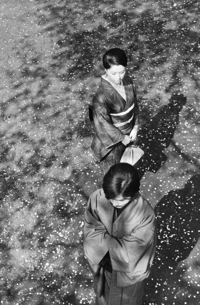 情欲与虐杀剧照的剧照