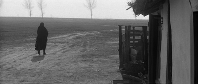 静默与呼喊剧照的剧照