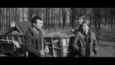 静默与呼喊剧照的剧照