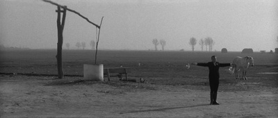 静默与呼喊剧照的剧照