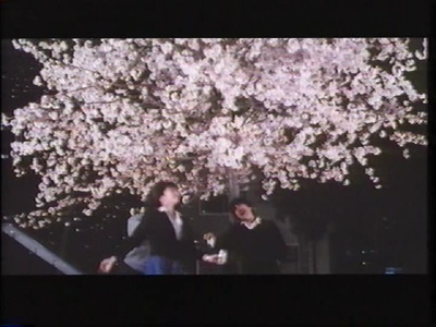 雪之断章剧照的剧照